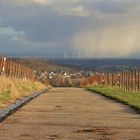 Regen kommt in die Pfalz