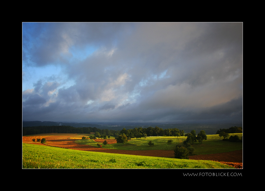 Regen Licht #2