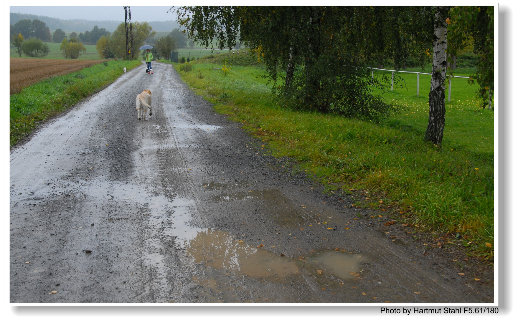 Regen (Lluvia)