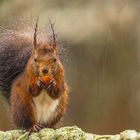 Regen macht hungrig