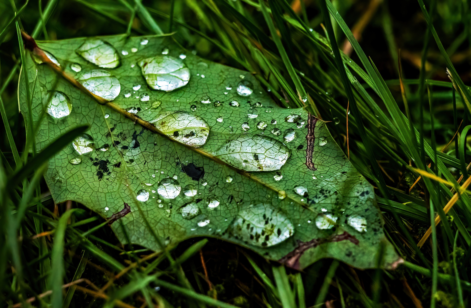 "REGEN? Motive gibt es da dann auch"