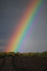 Regen nach der Ernte