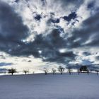 Regen oder Schnee was wird da kommen?