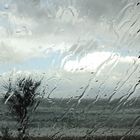 Regen / Pioggia (3)