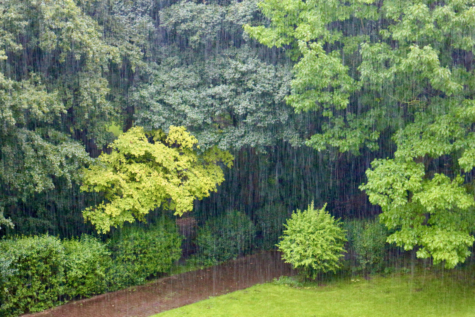 Regen, Rain, Pluie…