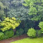 Regen, Rain, Pluie…