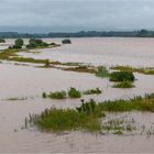 Regen, Regen, Hochwasser