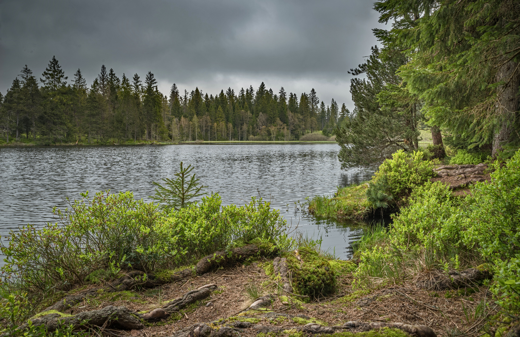 Regen, Regen, Tröpfchen, es regnet ....