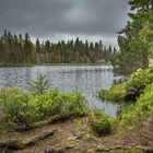 Regen, Regen, Tröpfchen, es regnet ....