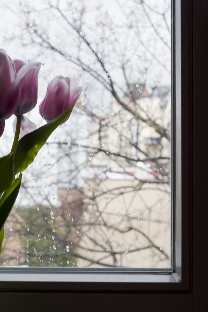 regen, regen und nochmal regen