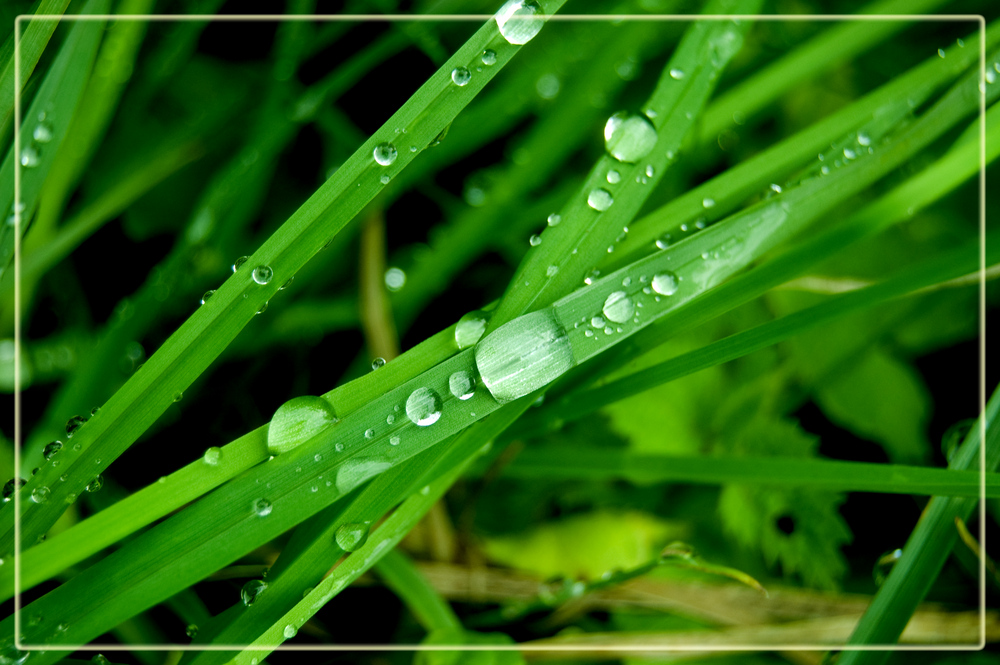 Regen Regen. Wann ist das vorbei?