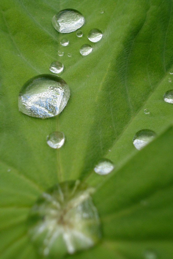 Regen-, Regentröpfchen...