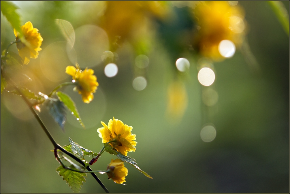 Regen - Sonne - Regen