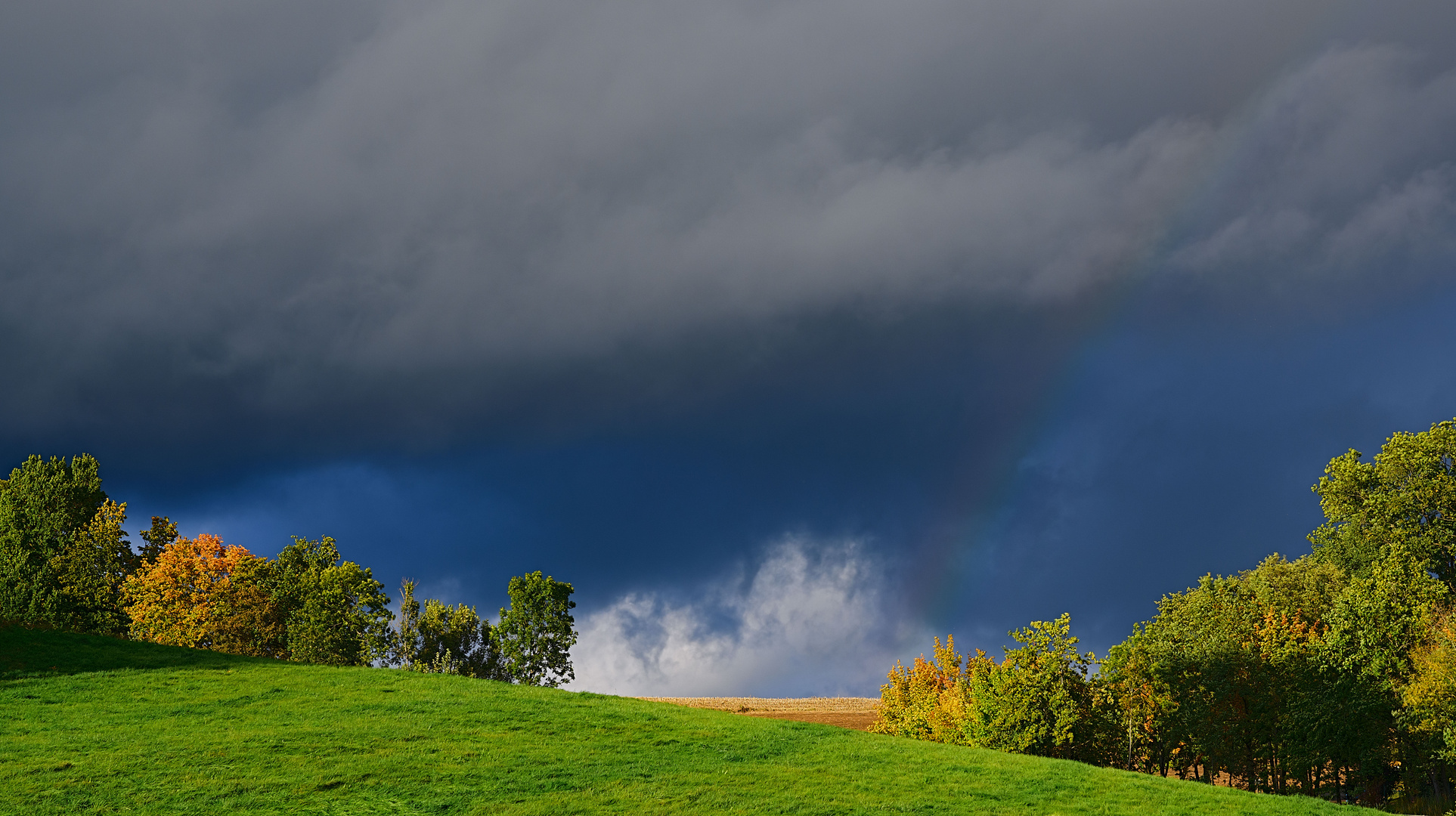 Regen, Sonne, Regen