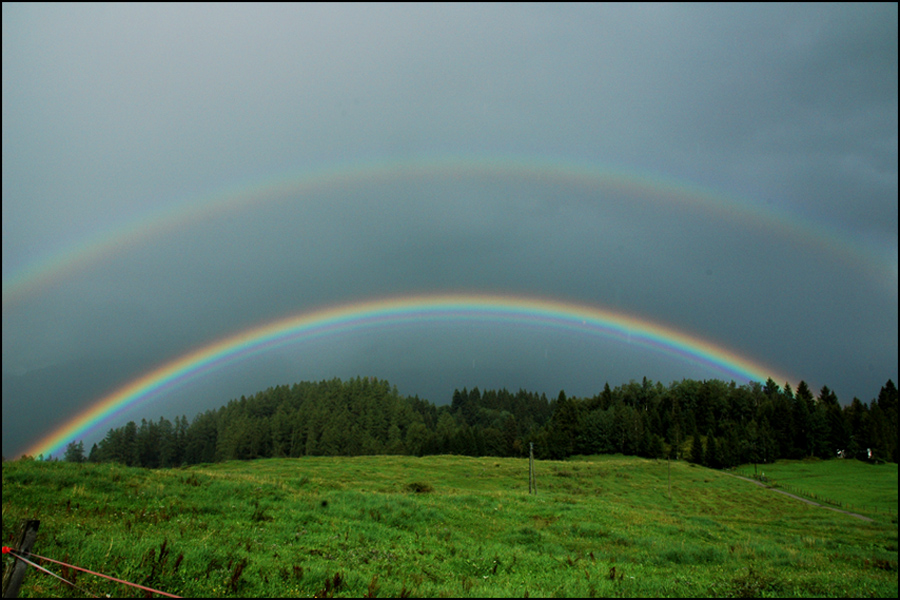 Regen + Sonne = Regenbogen