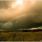 Regen & Sonne vereint - Regenbogen über Schönbrunn