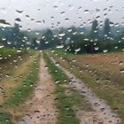 Regen-Tag