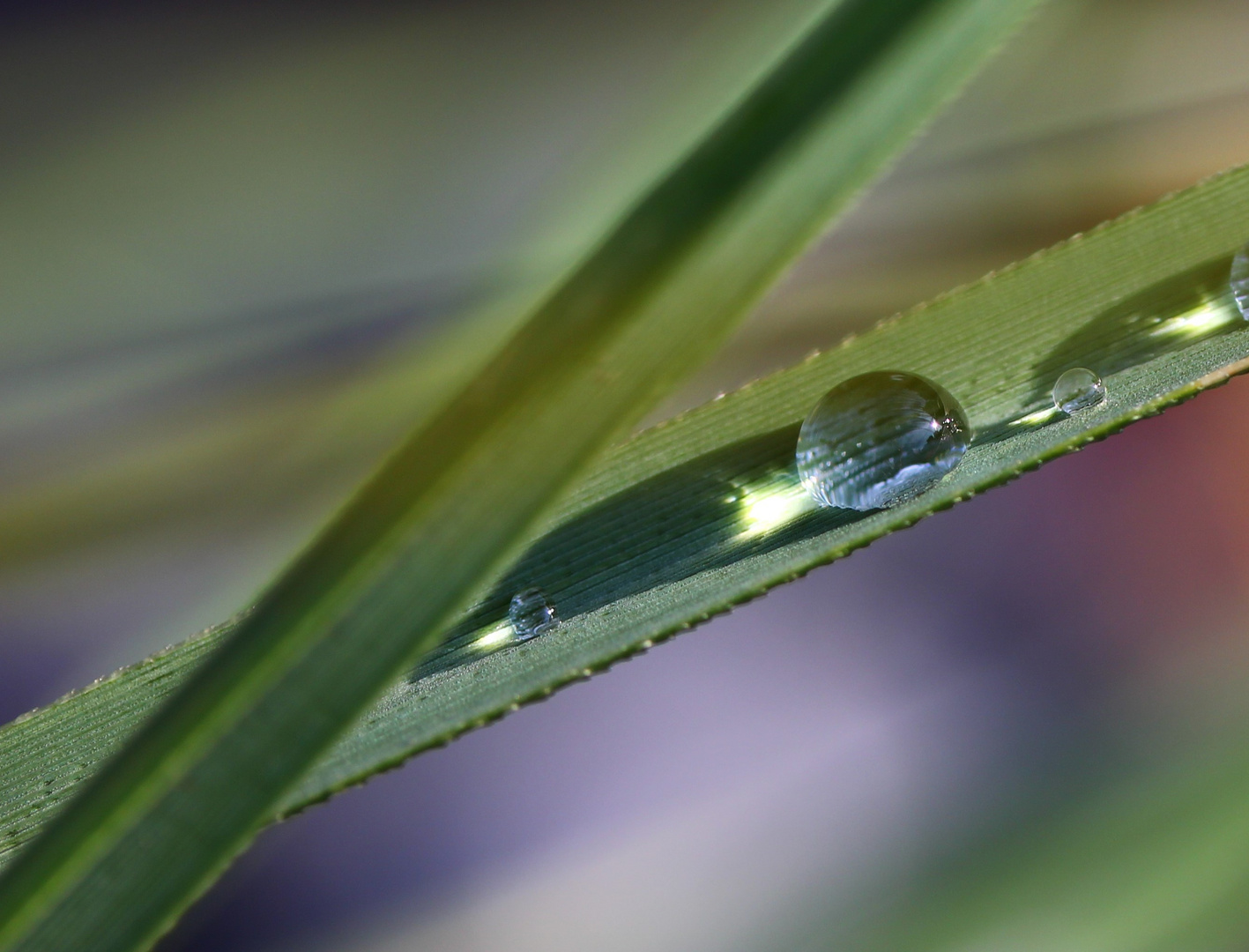 Regen trifft Sonne...