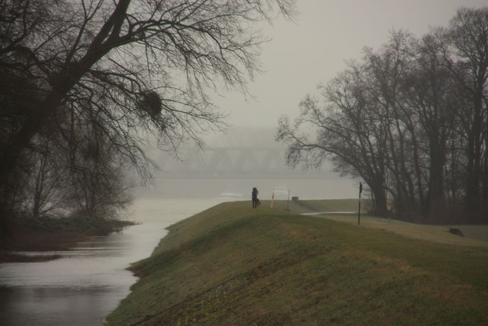 Regen-Tristesse