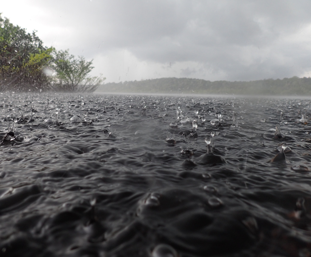 Regen-Tropfen