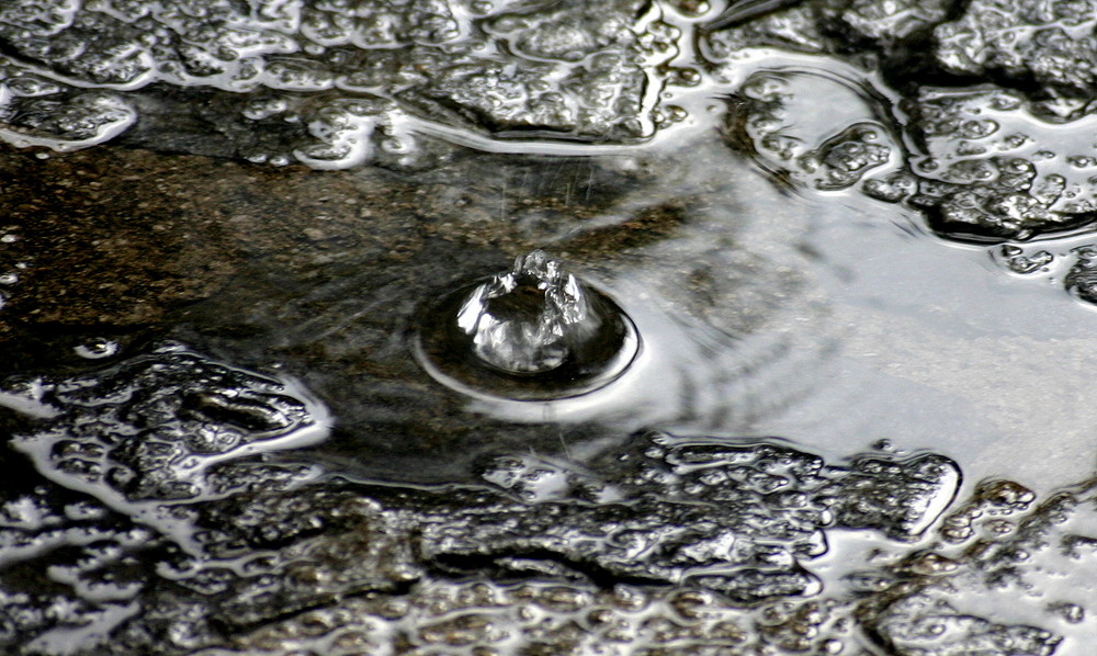 Regen Tropfen