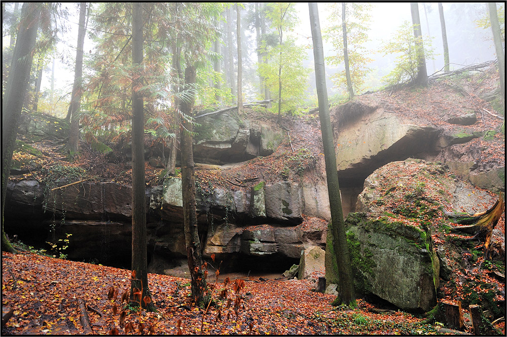 Regen u Nebel