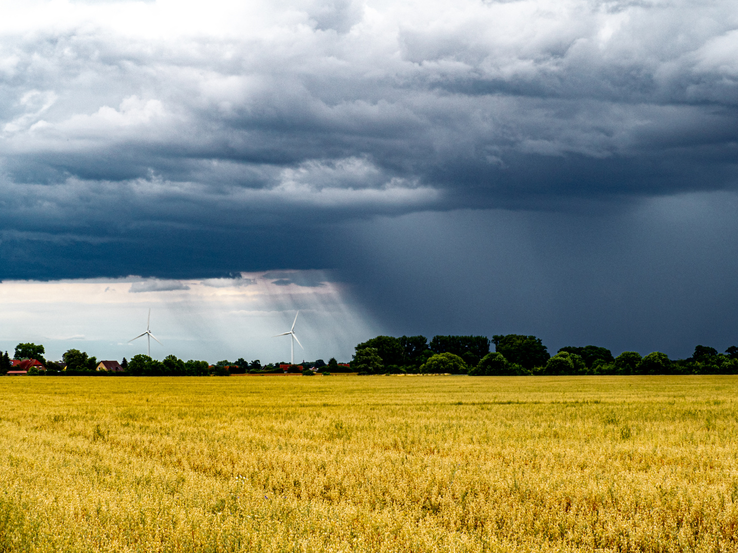 Regen über Brandenburger Land 20200628-1