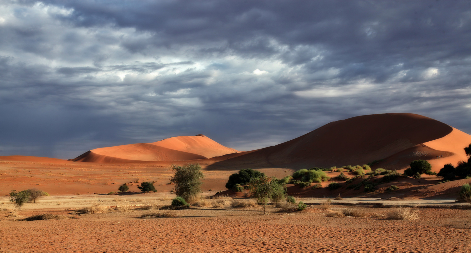 Regen über der Namib