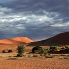 Regen über der Namib