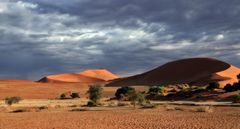 Regen über der Namib