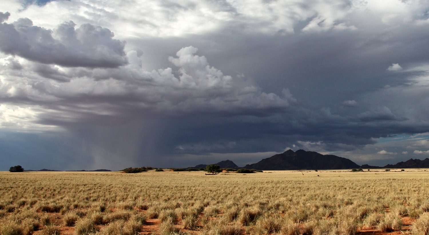 Regen über der Namib