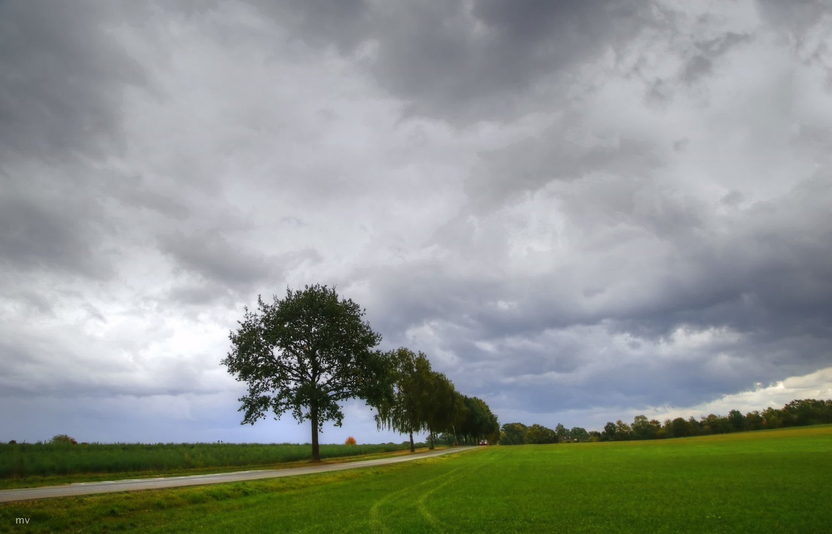 Regen über Ehestorf