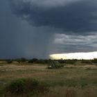 Regen über Etosha