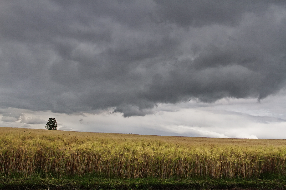 REgen über Oberberg