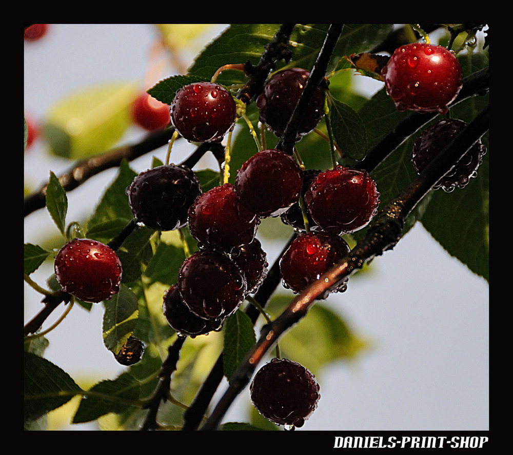 Regen und dann Sonne