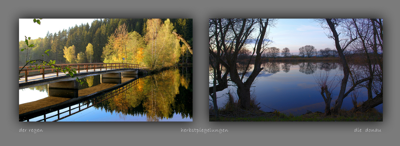 Regen und Donau