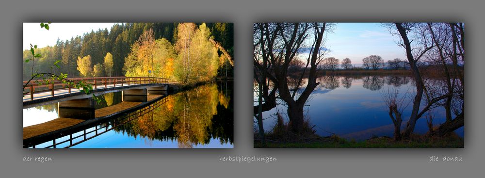 Regen und Donau