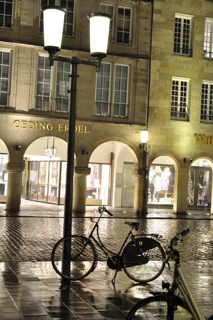  Regen und Fahrrad - typisch Münster!!