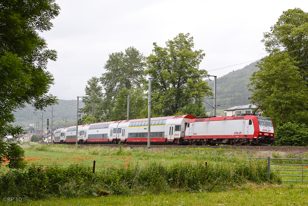 Regen und Klatschmohn ...