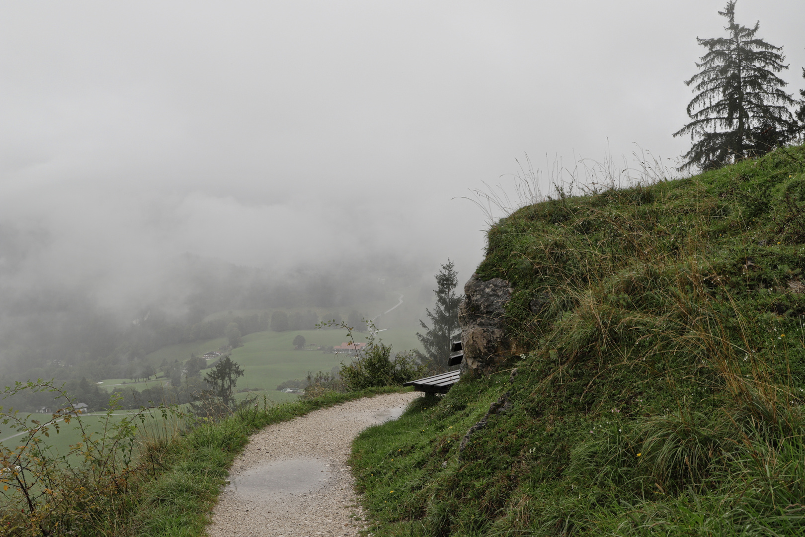 Regen und Nebel (2018_09_14_EOS 6D Mark II_6581_ji)