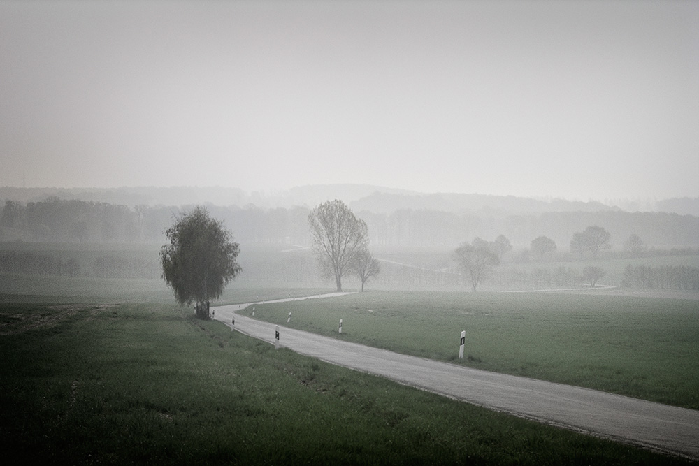 Regen und Nebel bei Schmochtiz