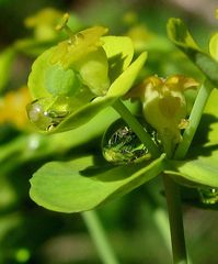 Regen und Sonne