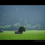 Regen und Sonne am Alpenrand