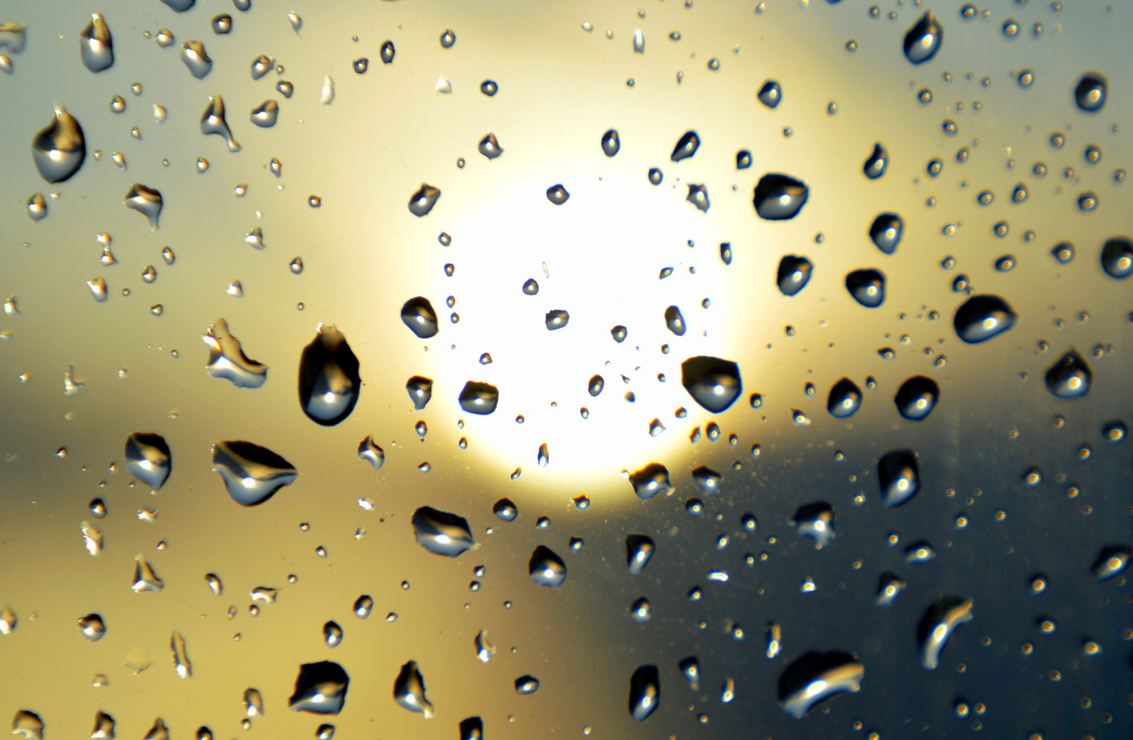 Regen und Sonne Foto & Bild stillleben, jahreszeiten, winter Bilder