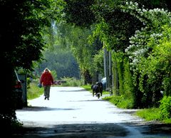 Regen und Sonnenschein.