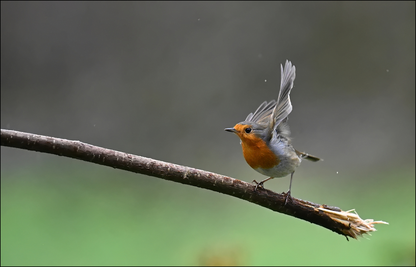 Regen und Wind