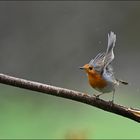 Regen und Wind