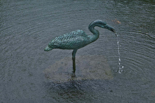 Regen-Vogel am Strand...