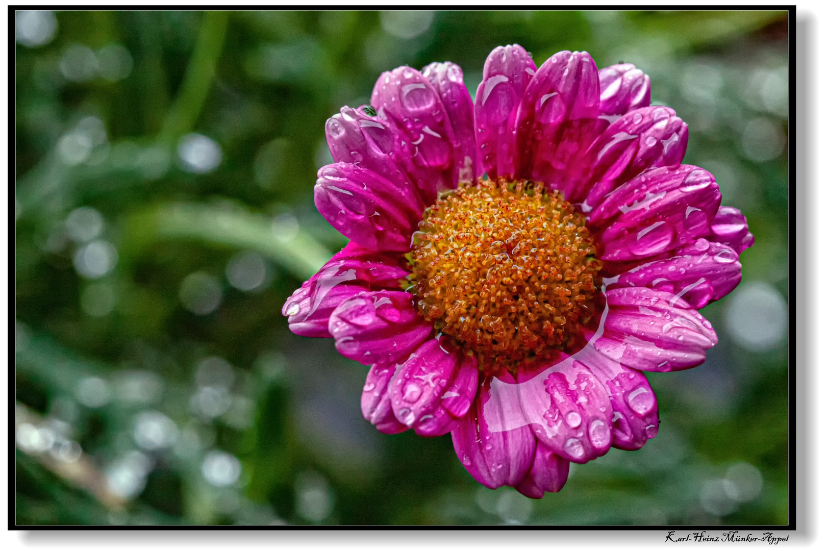 Regen von seiner schönen Seite