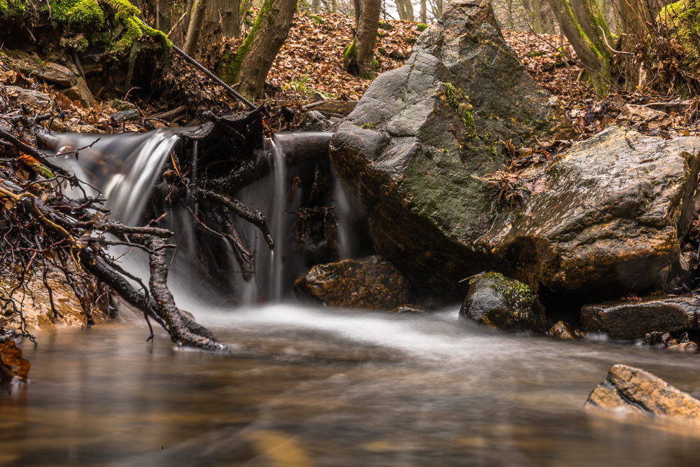 Regen-Wald I Foto & Bild | landschaft, bach, fluss & see, bachläufe Bilder auf fotocommunity